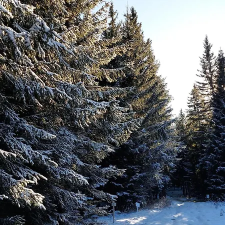 Gerlitzen Garden * Treffen