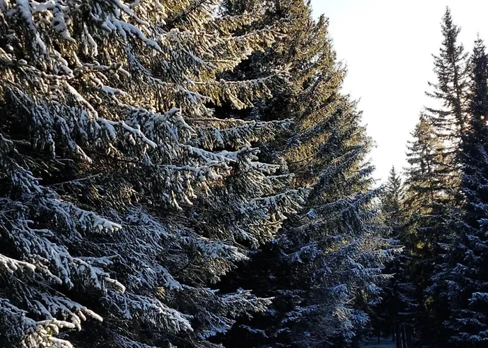 Gerlitzen Garden * טרפן